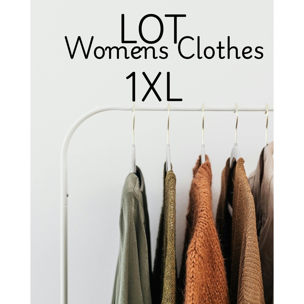 Womens Plus Size Top Lot 1X Liz Claiborne Maurices Westbound Catherines Office